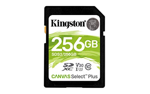 Kingston Canvas Select Plus SD - SDS2/32GB Class 10 Uhs-I, 256 GB