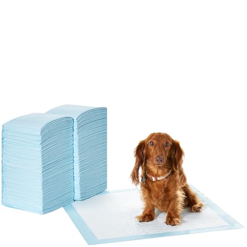 Amazon Basics - Tapete de entrenamiento para perros, a prueba de fugas, 5 capas, con perfume, 55,88 x 55,88 cm, paquete de 150 unidades
