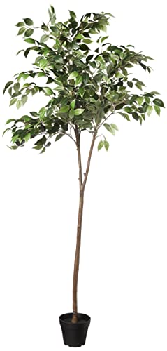 Amazon Basics Ficus artificial con macetero de plástico: 160 cm, Variegated